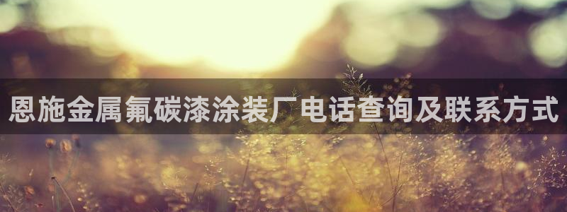 美高梅老板是