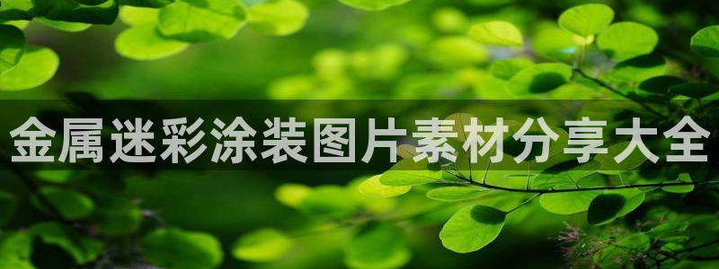 美高梅酒店自助餐