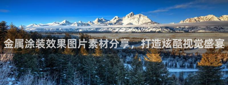 美高梅的狮子值多少钱