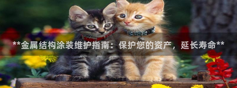 美高梅几星级酒店?