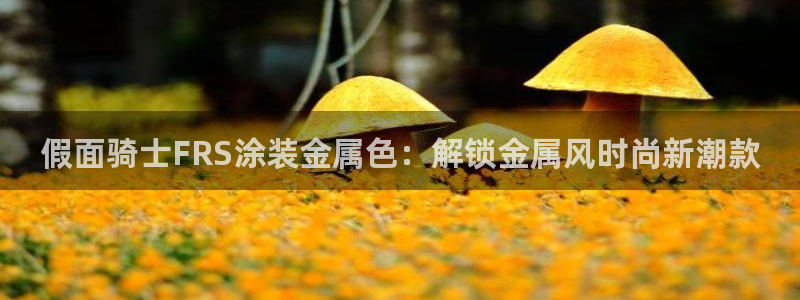 美高梅国际集团简介