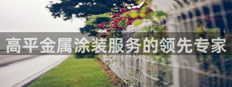 美狮美高梅酒店黑卡400餐卷