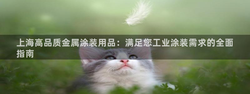 美高梅VIP音乐会