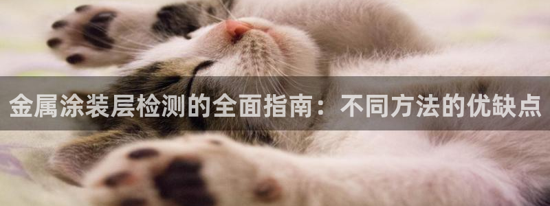 美高梅飞鱼表演还有吗