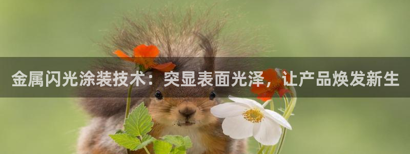 美高梅的老板是谁?