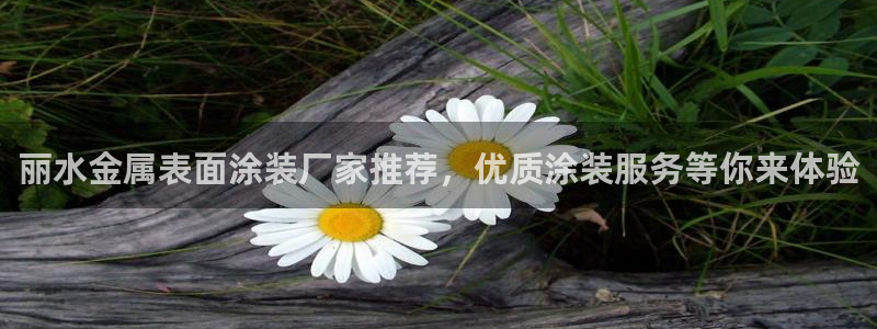 美狮美高梅酒店港澳快线