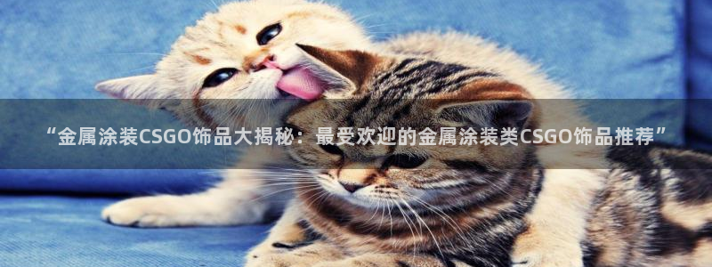 美高梅别墅价格