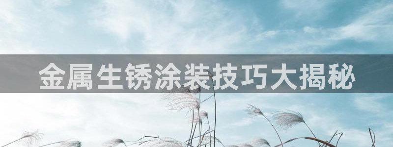 美高梅会员卡等级 金额：金属生锈涂装技巧